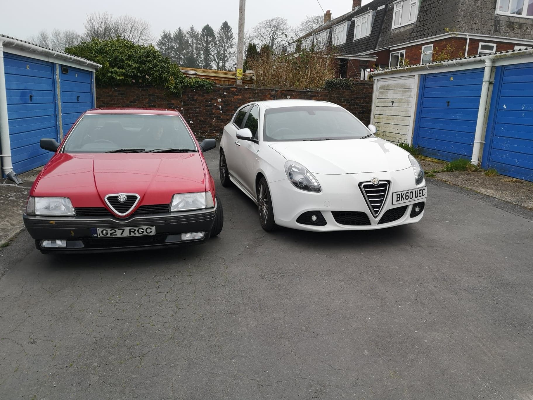 Sammy Moon's Alfa Collection in 2019