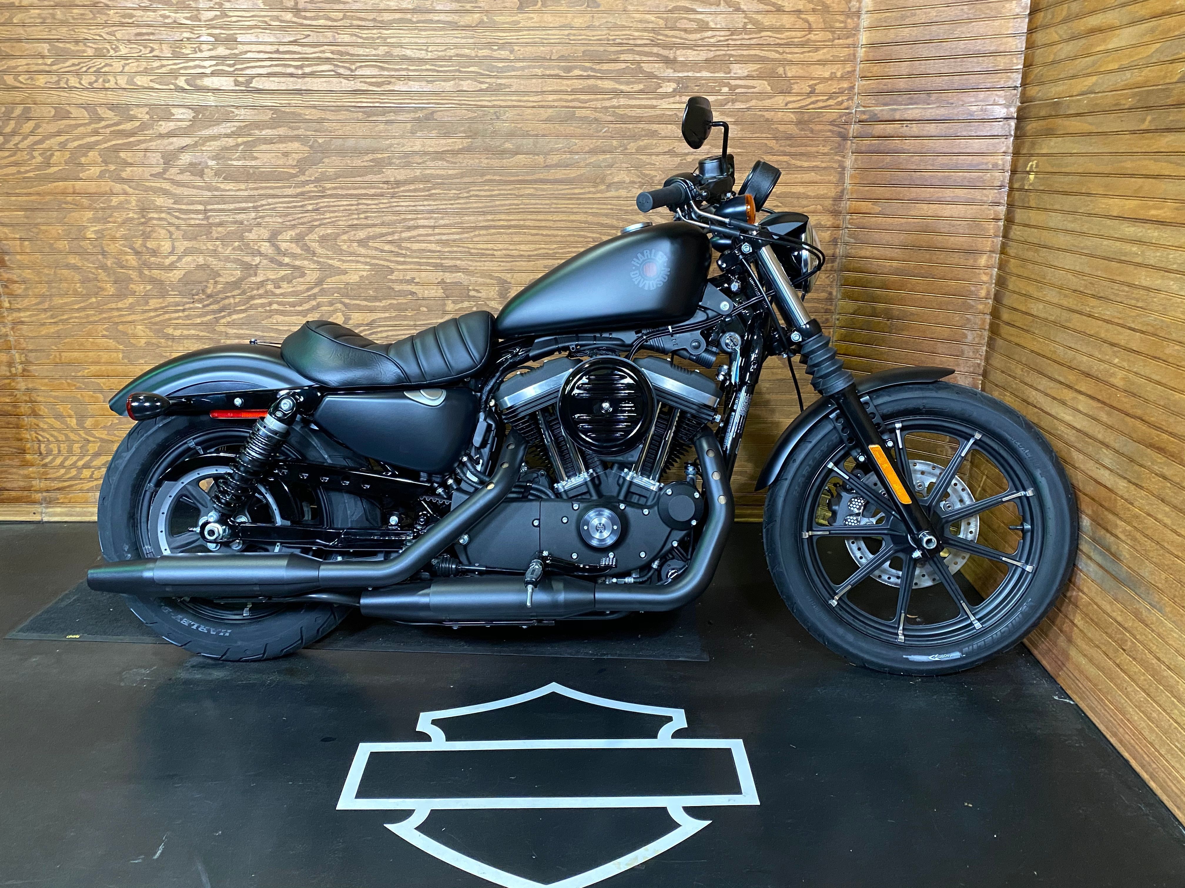 Blue 2021 Harley-Davidson Iron 883 (1)- Harley-Davidson in front of wooden wall