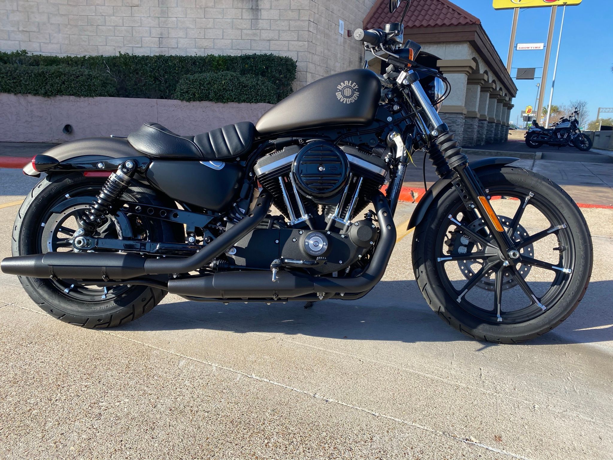 Black 2021 Harley-Davidson Iron 883 in front of building; side view
