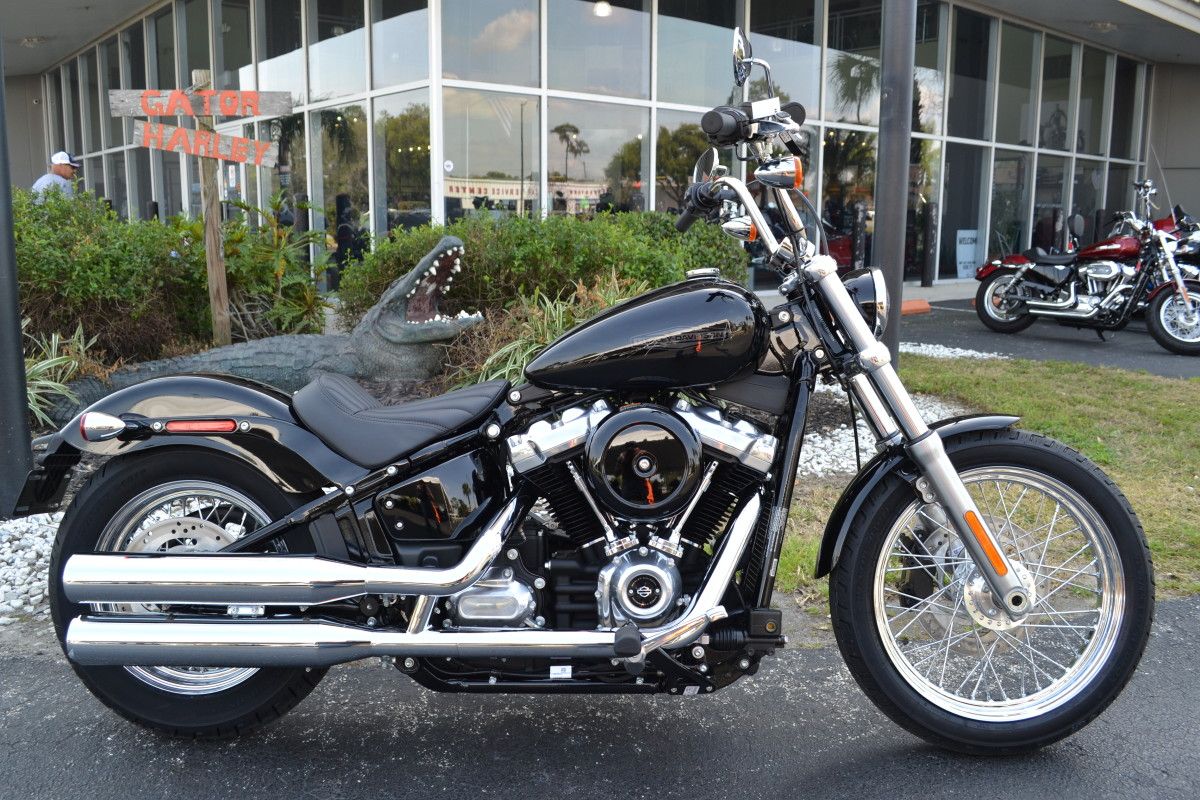 2021 Harley-Davidson Softail Standard outdoors; side view