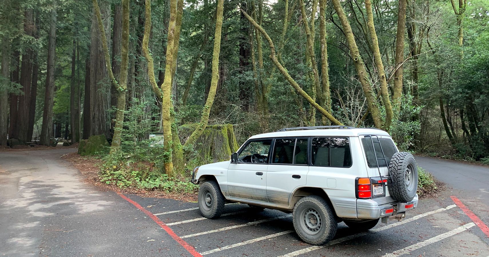 Mitsubishi Montero Redwoods