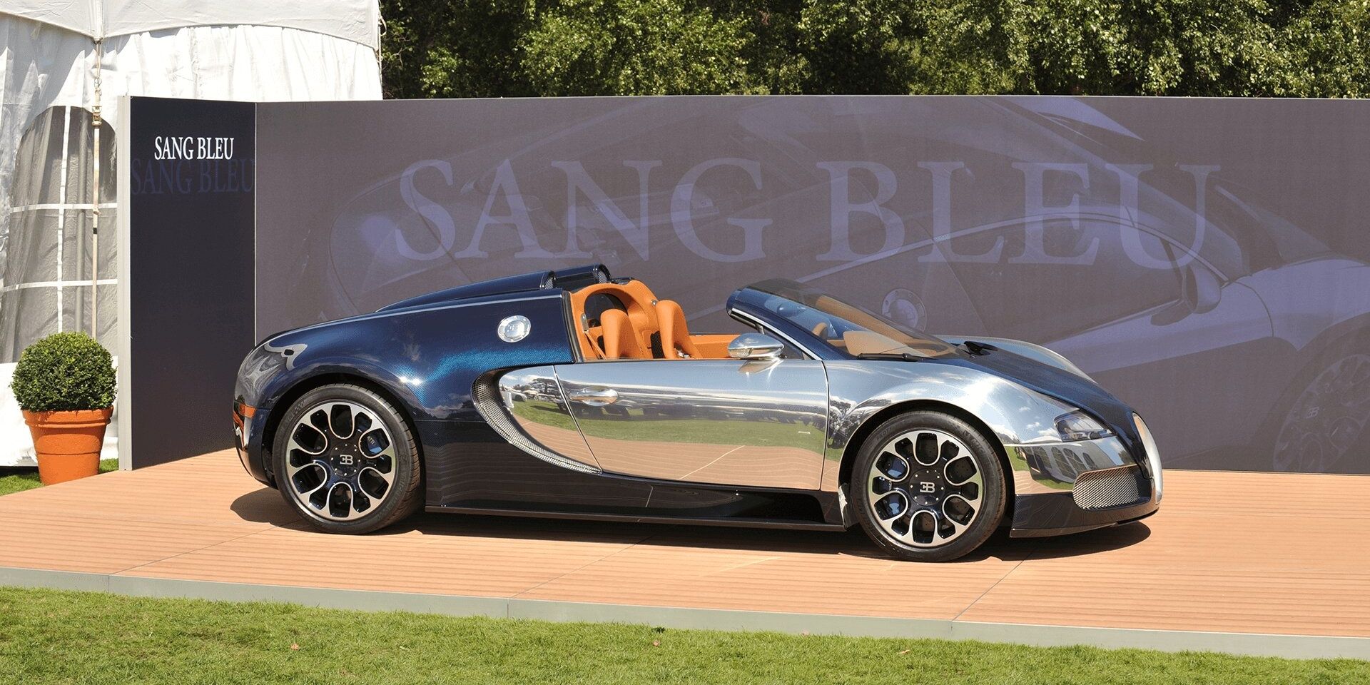 Bugatti Veyron Sang Bleu