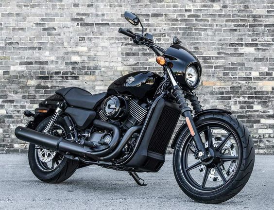 Best harley for online small rider