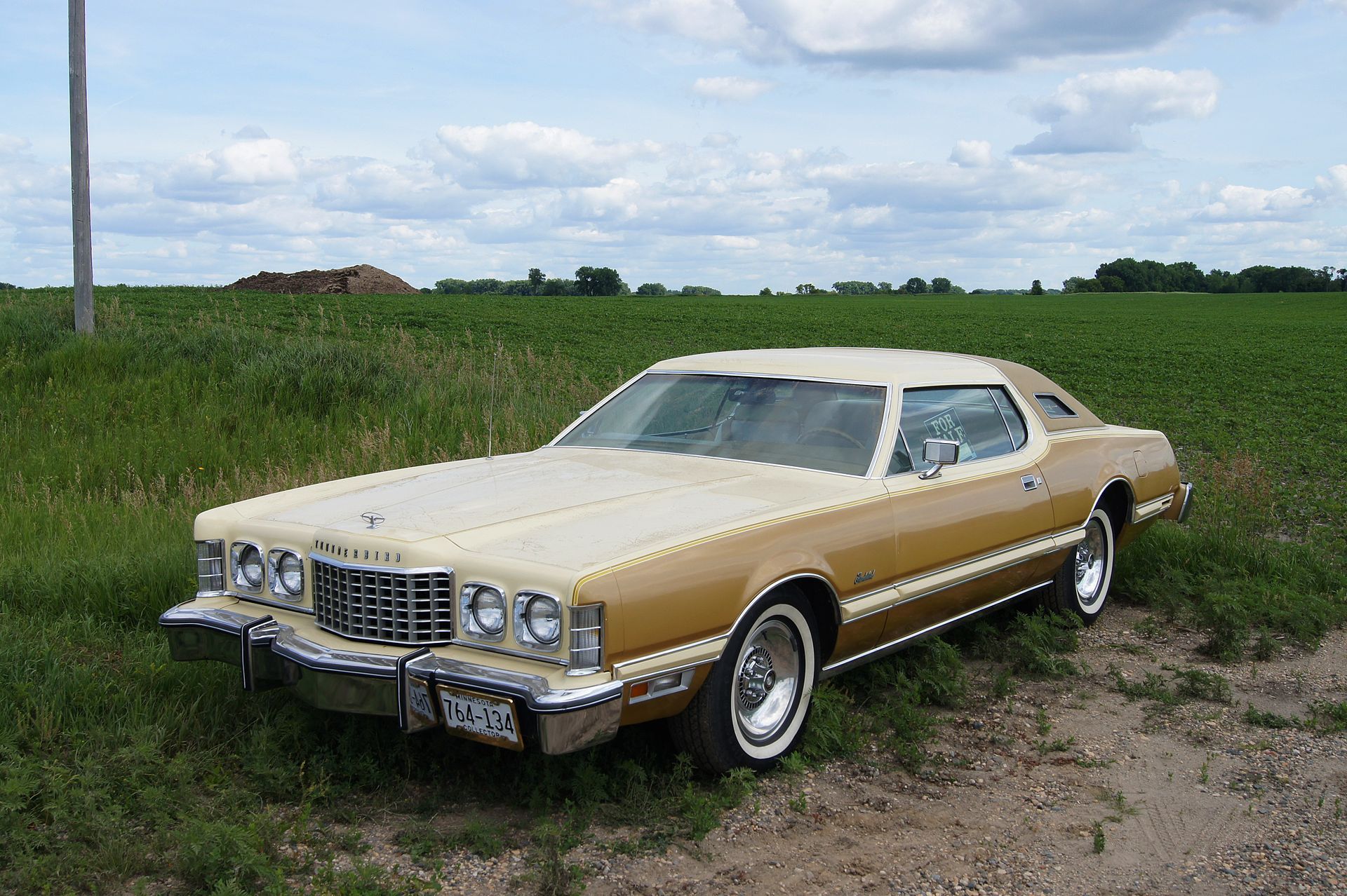 Ford Thunderbird bege 1976