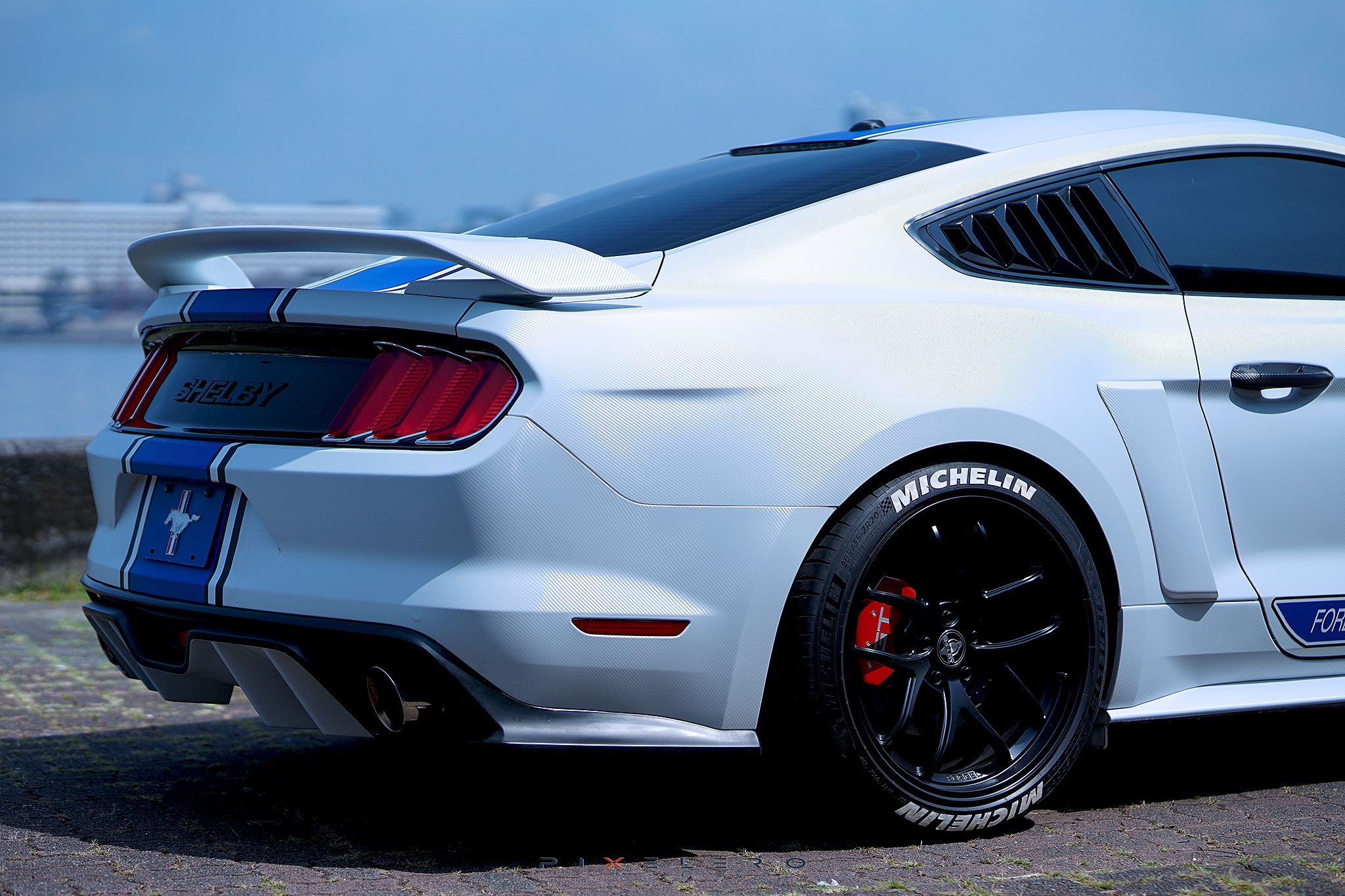 Shelby Mustang Rear