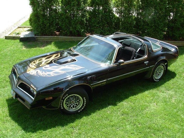This model of the Trans Am comes equipped with T-tops.