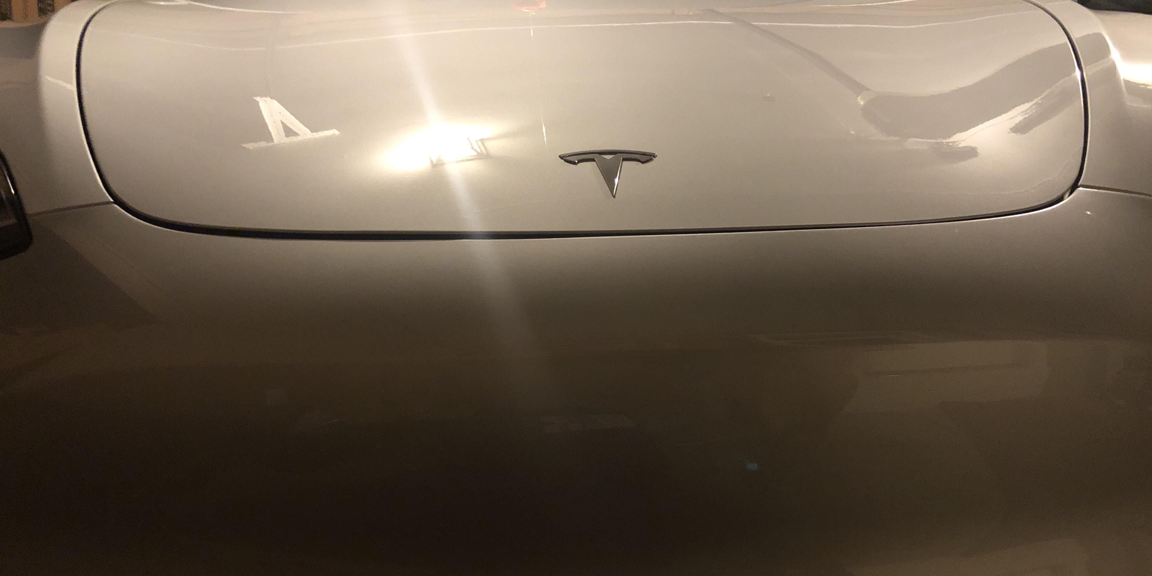 Tesla Panel Gaps