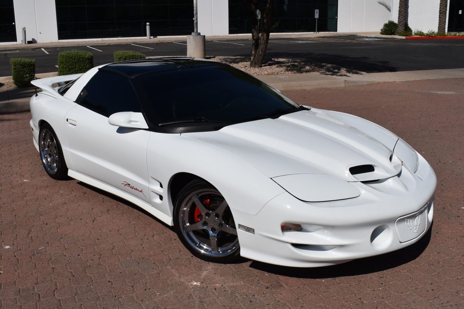 10 Things Everyone Forgot About The Trans Am WS6