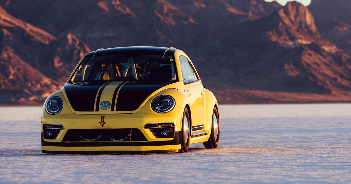 Fastest Beetle in the world
