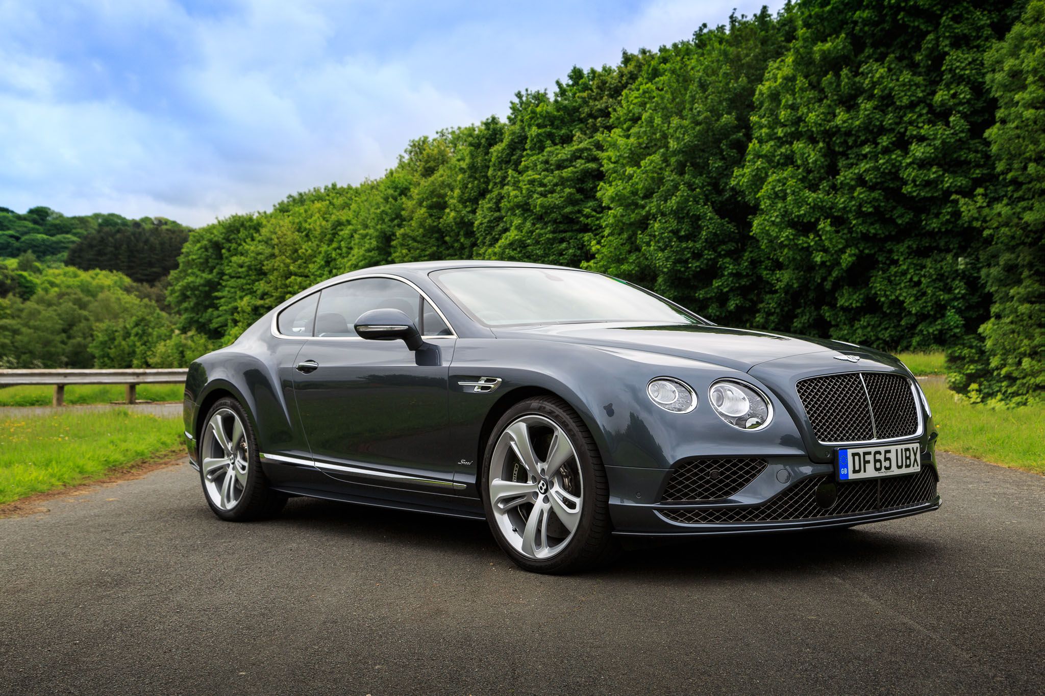 Continental GT Speed Coupe in forest