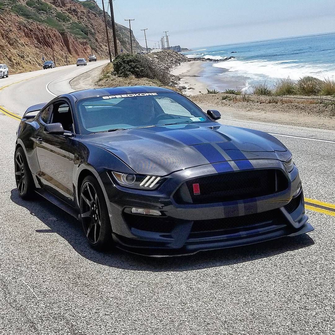 Shelby Mustang GT350 Carbon Fibre