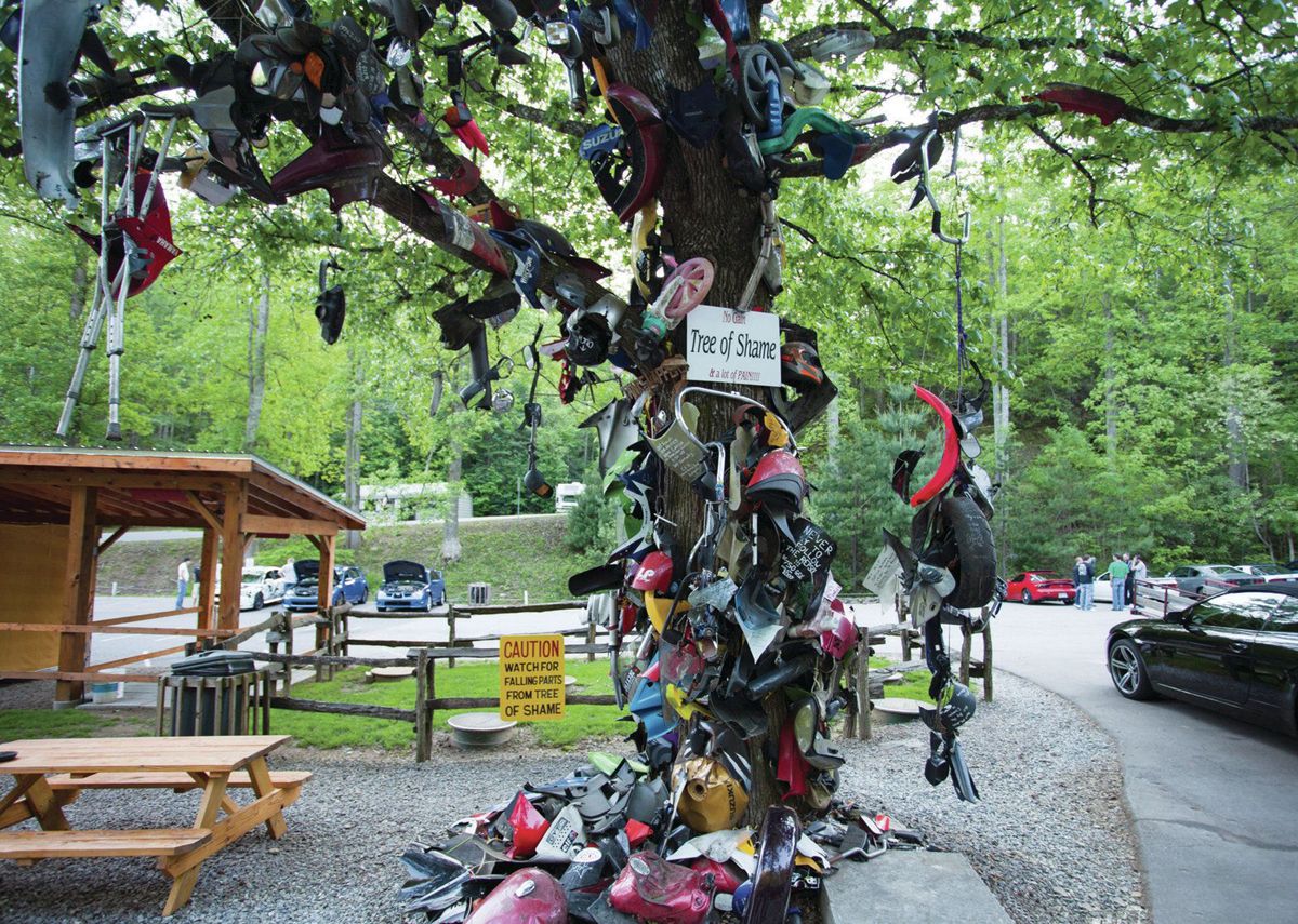 “Tree Of Shame”, A Tree, Covered With Crashed Motorcycle Parts Or As The Harley-Davidson Riders