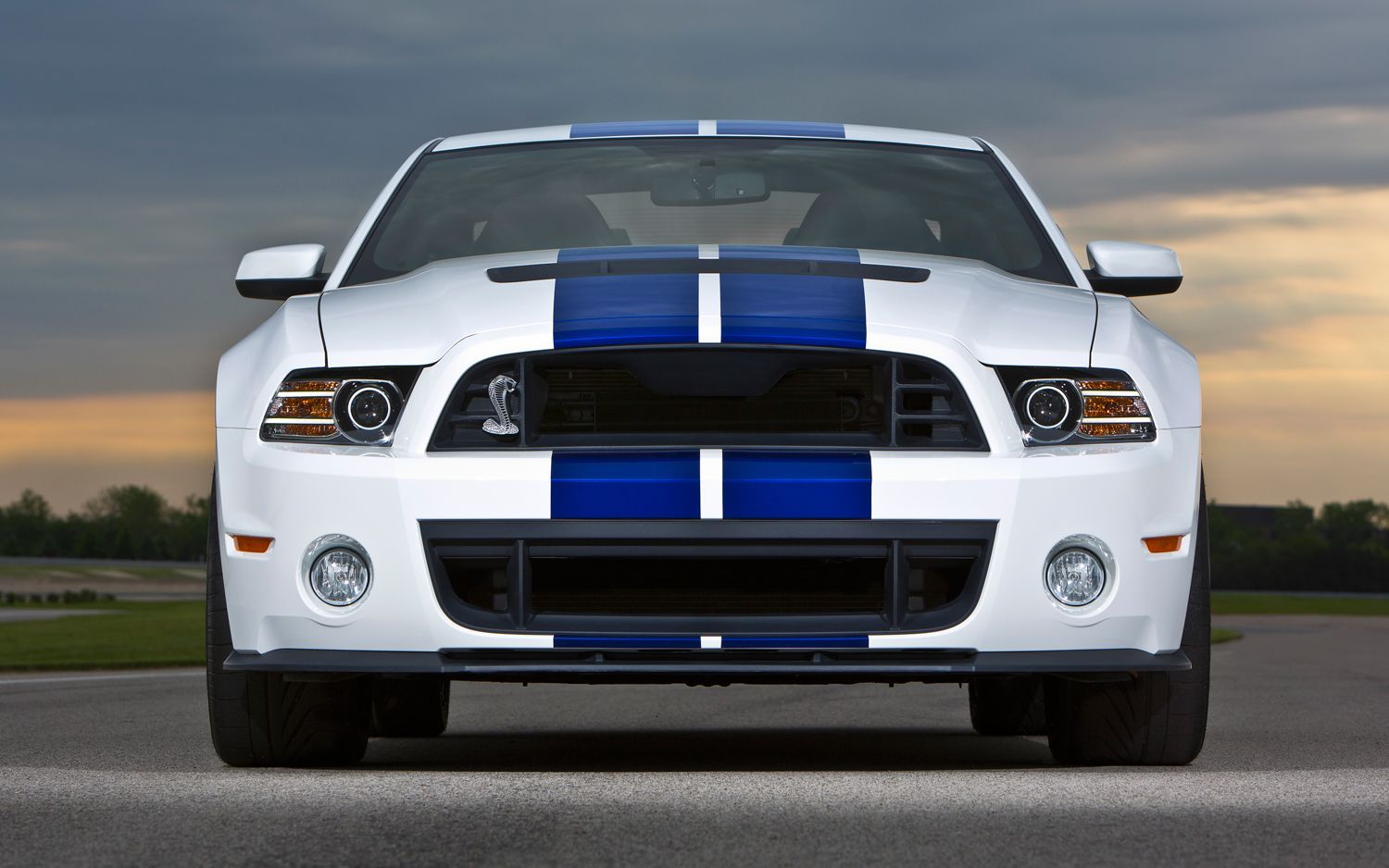 2013-Ford-Mustang-GT500