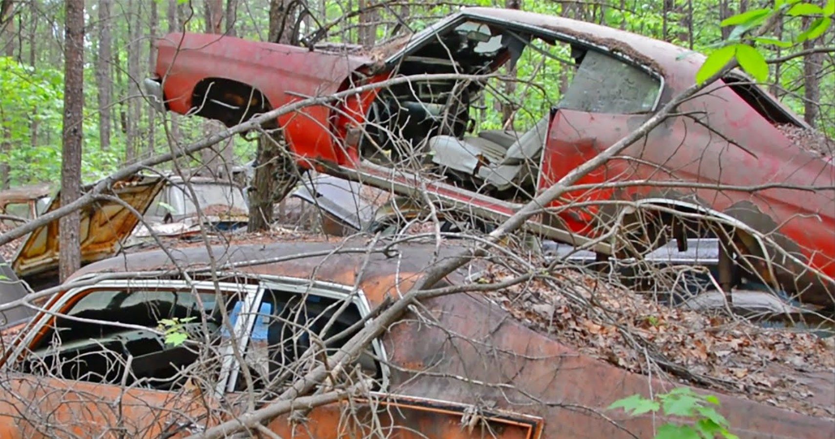 Clarksville muscle car guru finds rare stash in Kentucky salvage yard 