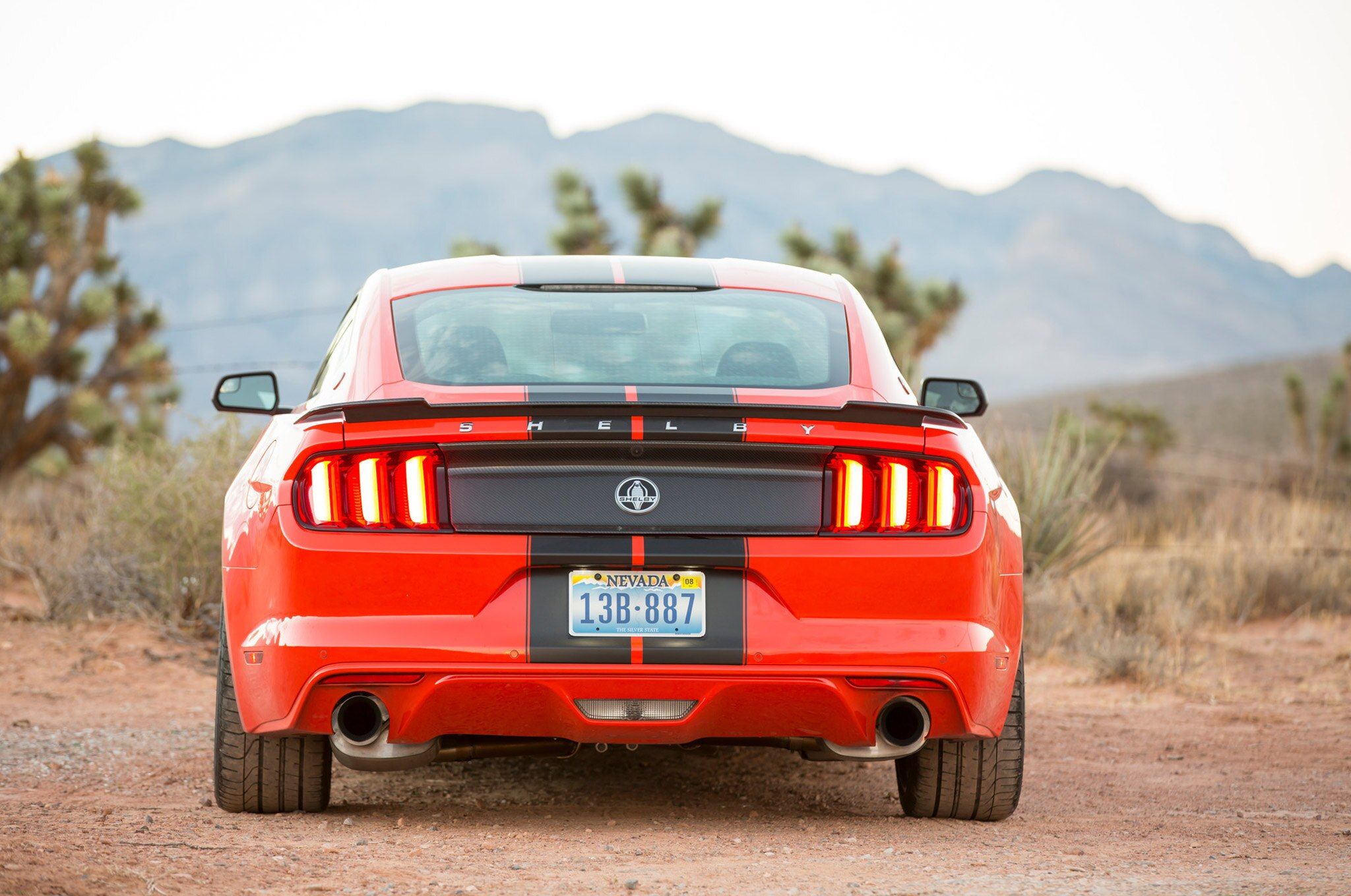04-Shelby-GT-EcoBoost-Mustang-rear