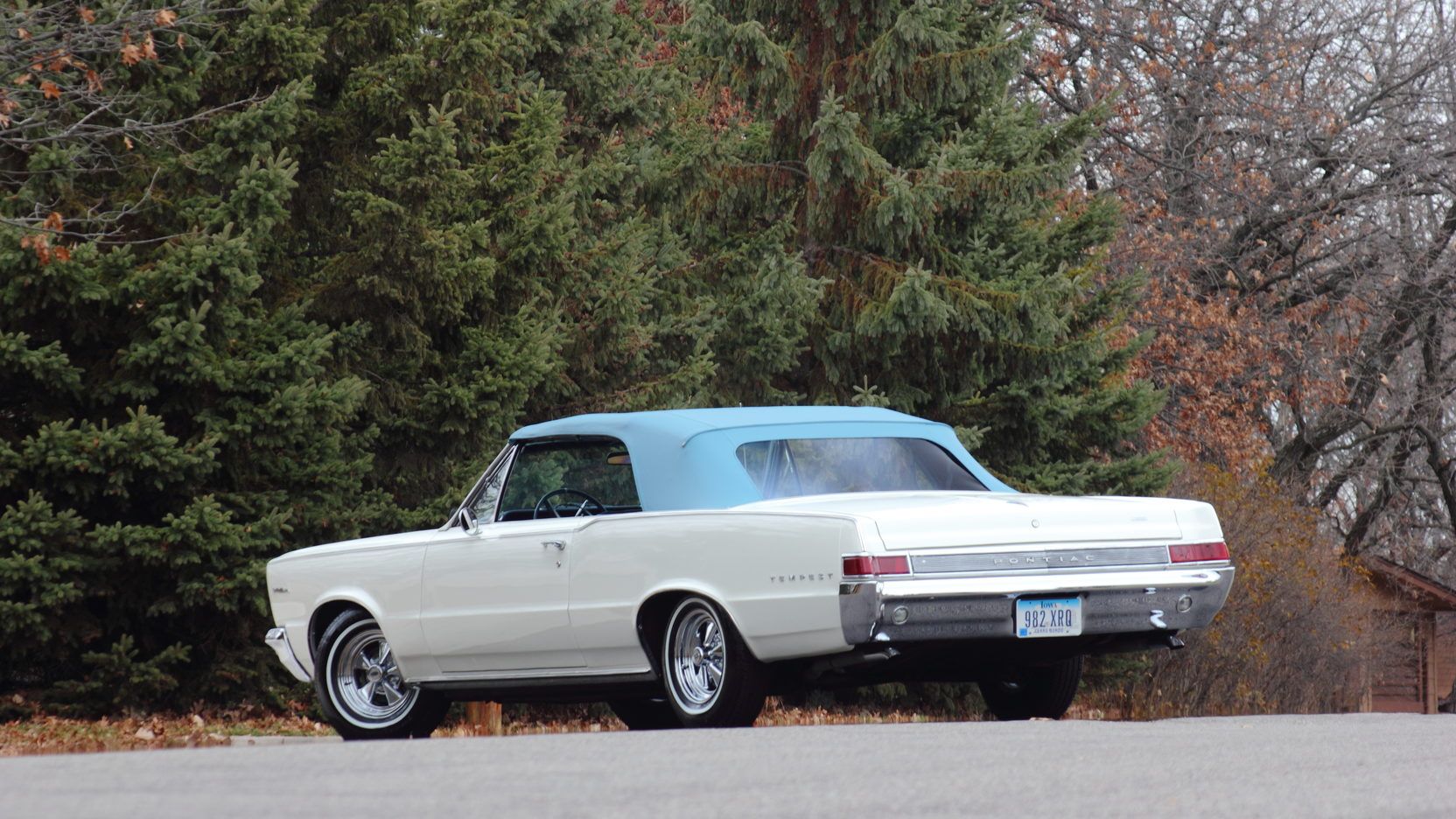 1965 Pontiac Tempest convertible 326, white, candy blue rooftop, rear