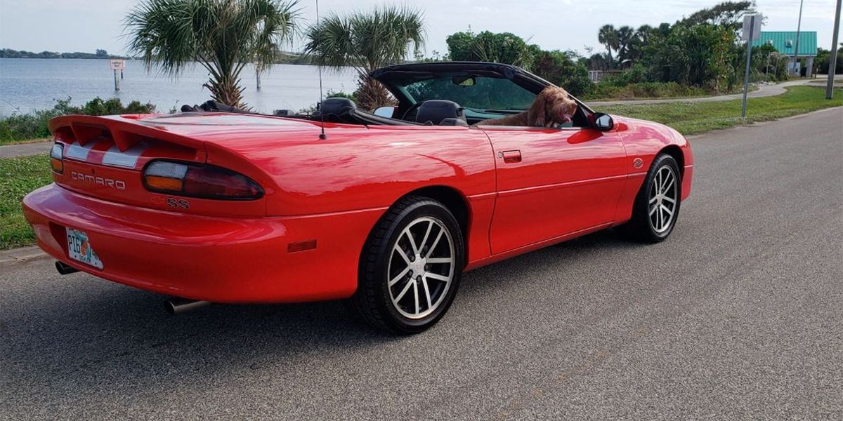 2002 35th Anniversary Chevrolet Camaro SS Rear