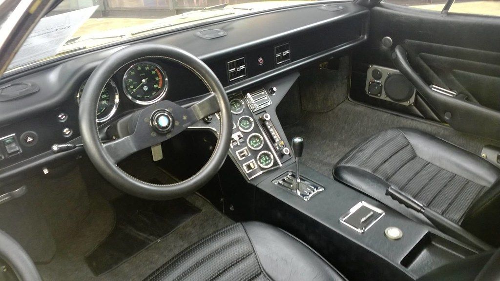 Pantera dash Clearance