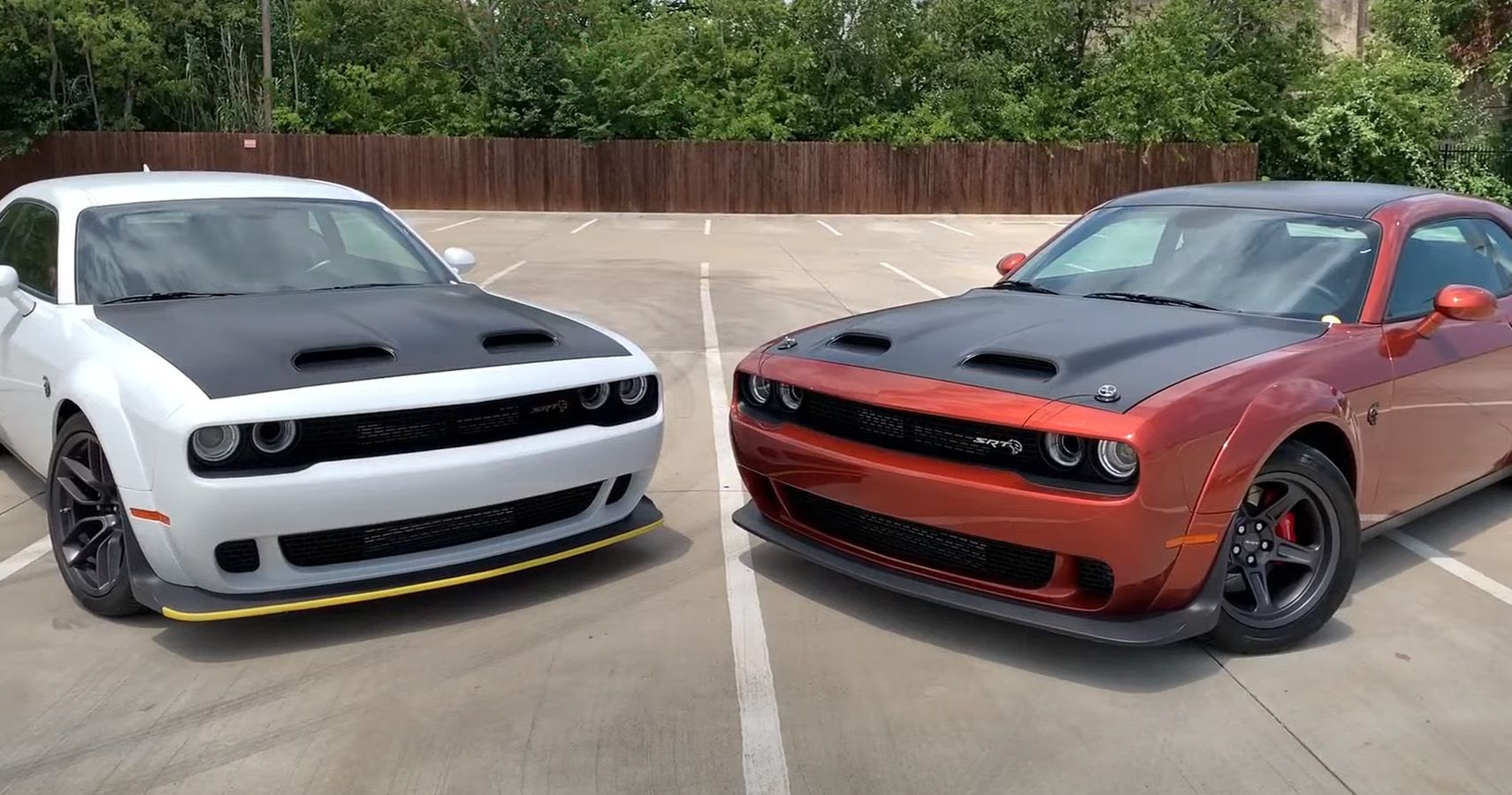 White Challenger Red Eye and Cinnamon Challenger Super Stock