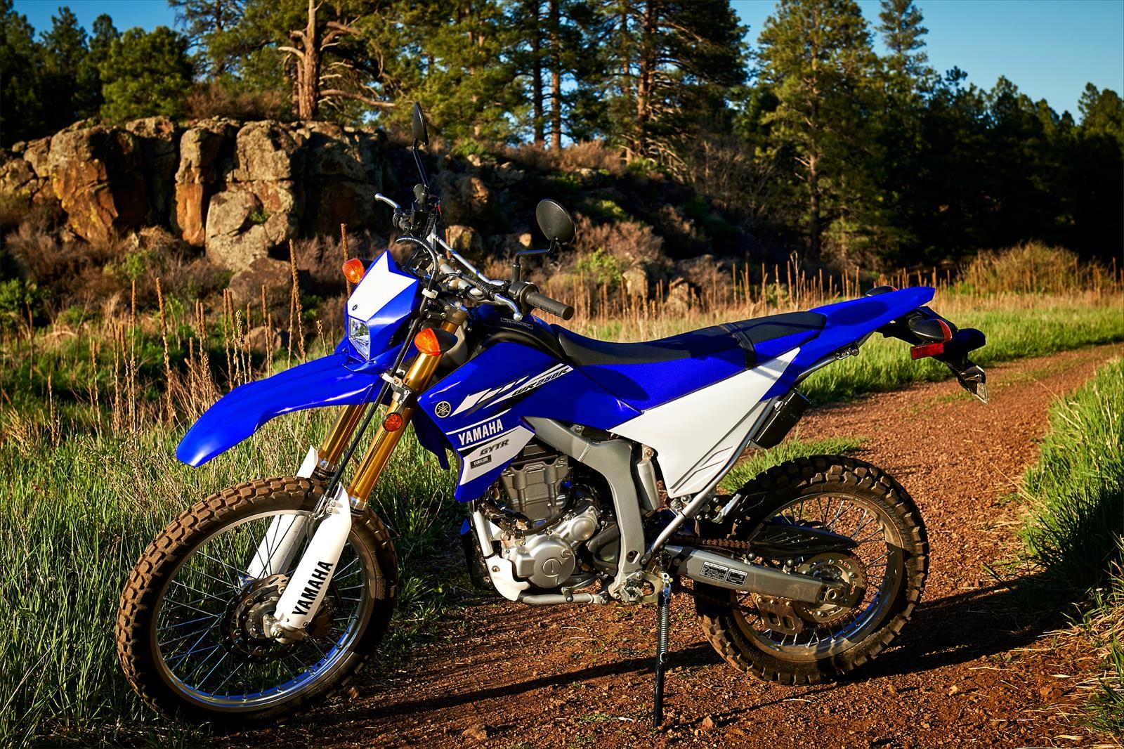 Ranking The Best Dual Sports Motorcycles Money Can Buy