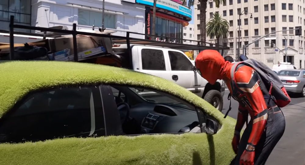 Watch This Honda Owner Transform Her Hatchback Into A Chia Pet