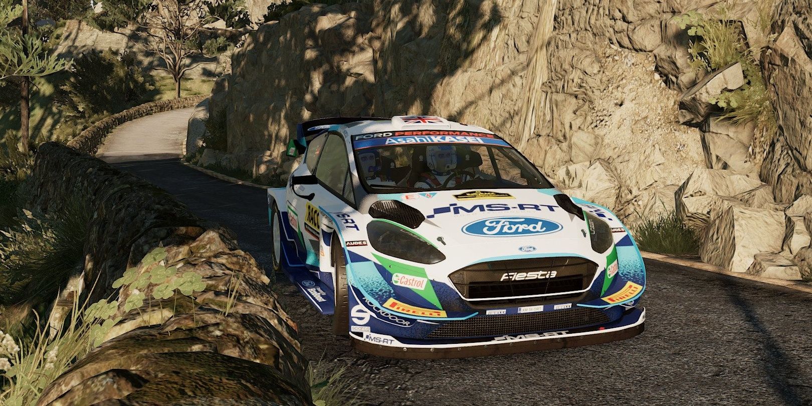 WRC 10 Ford Fiesta