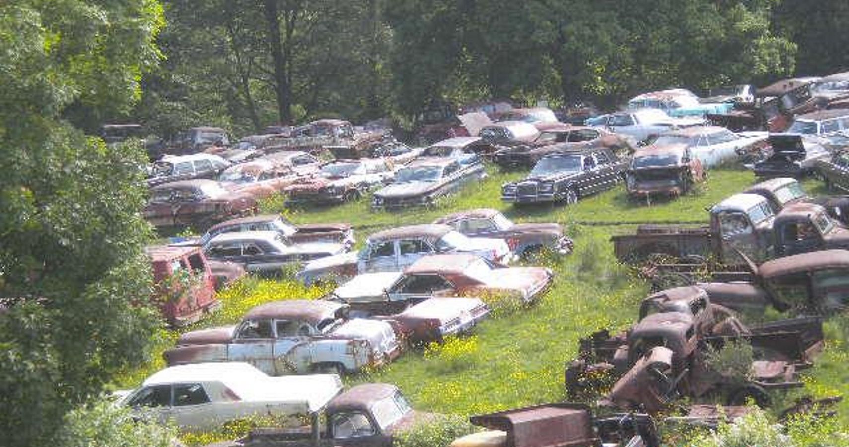 Mega Stockpile Of Rare Cars Discovered On Pennsylvania Farm