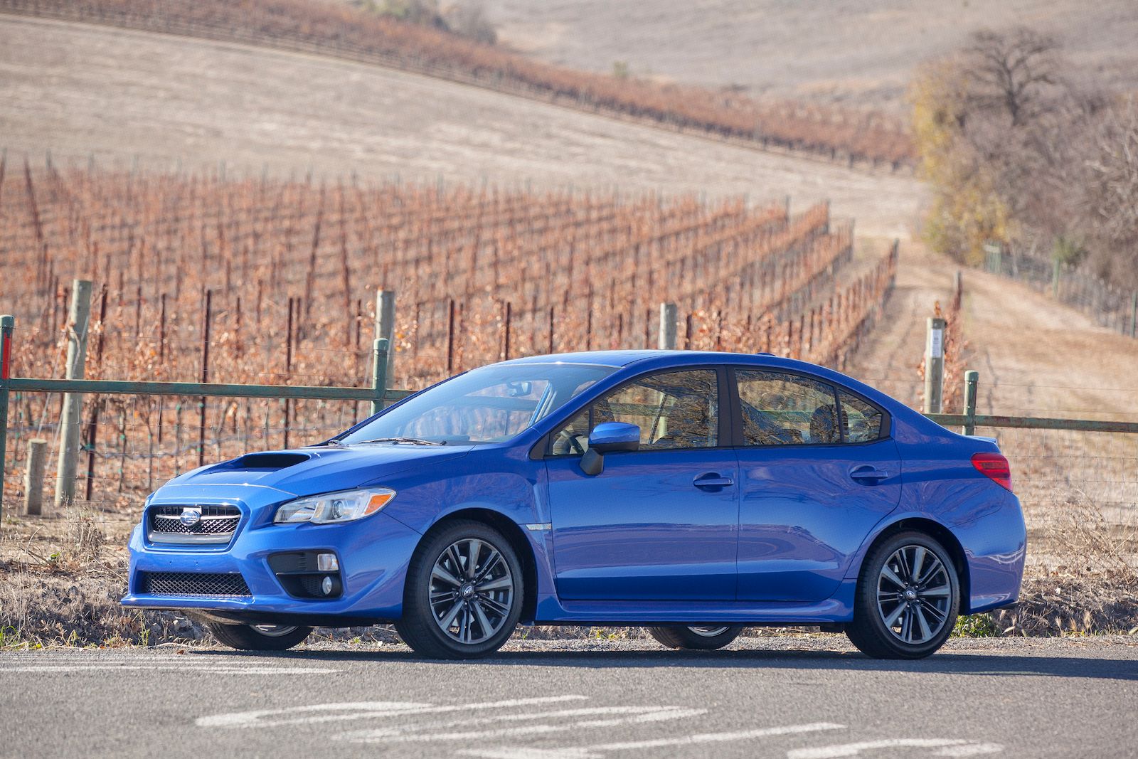 2015 Subaru WRX In Blue Side View