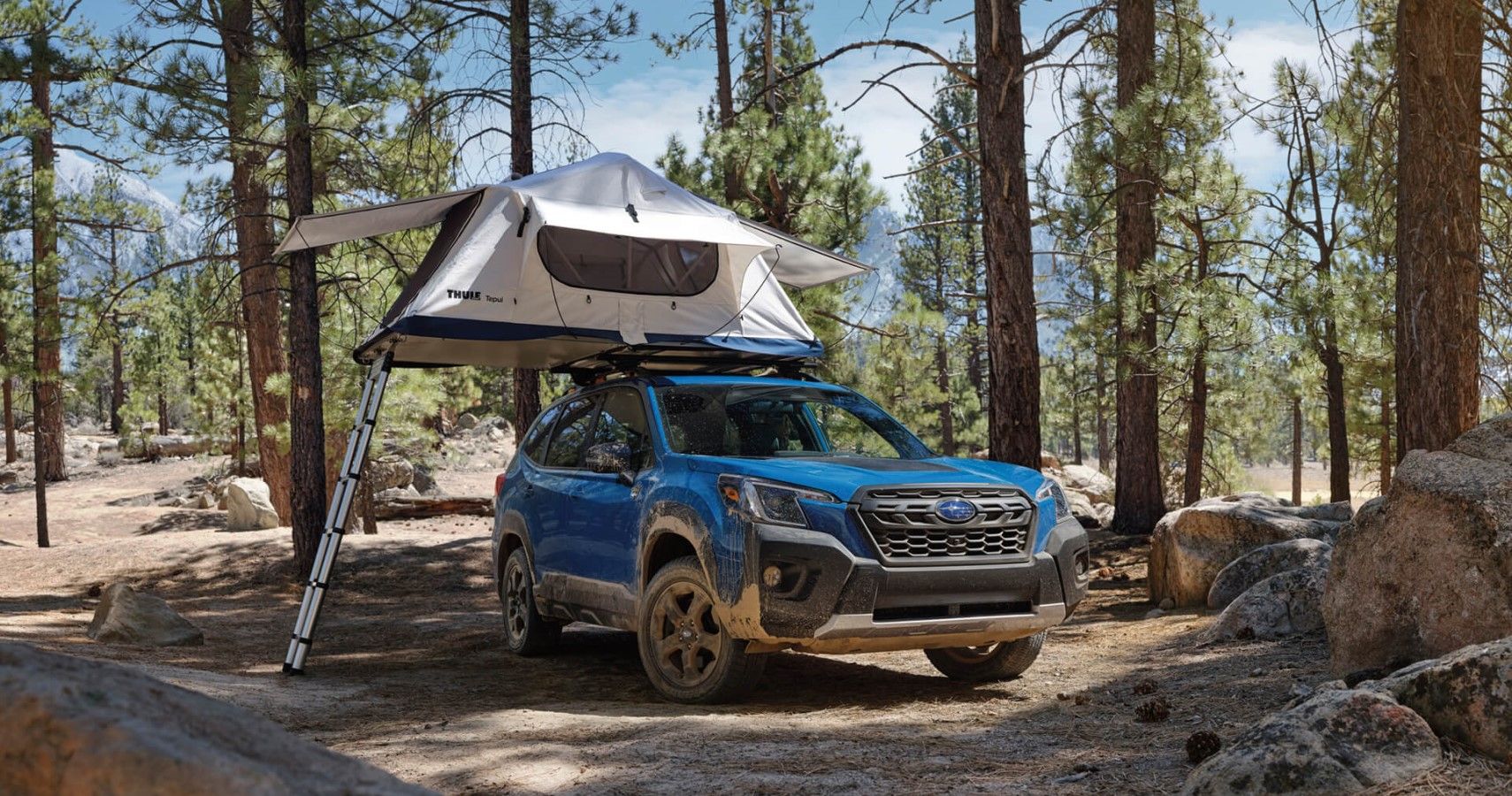 2022 Subaru Forester Wilderness with a camp on top