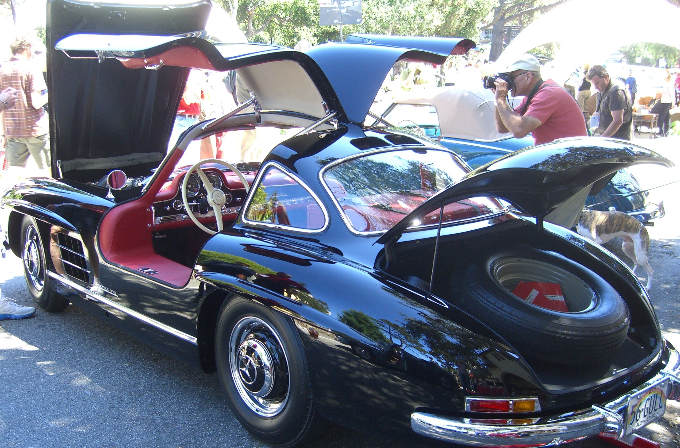 A picture of the 300SL Gullwing opened up.