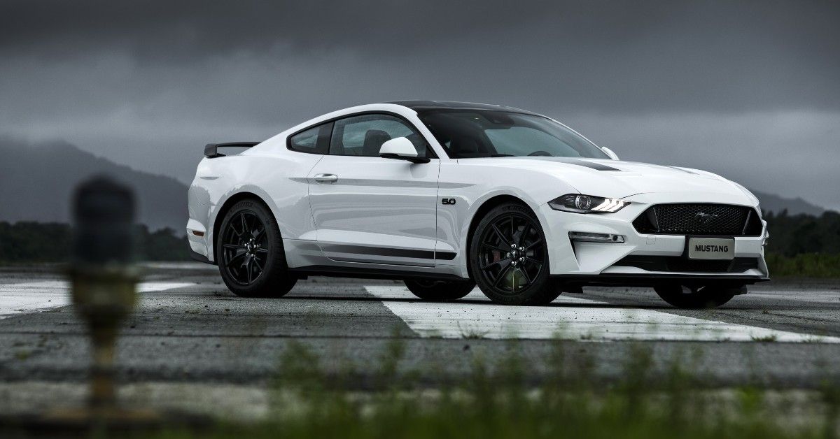 mustang black shadow (1)