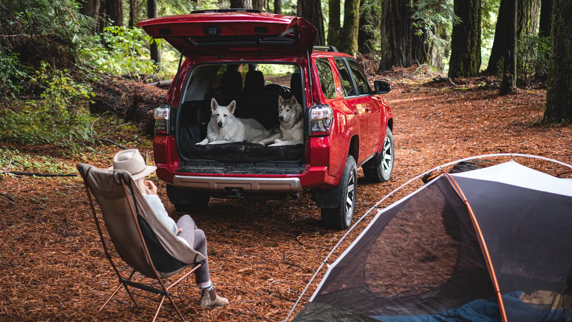 2022 Toyota 4Runner At A Camping Trip 