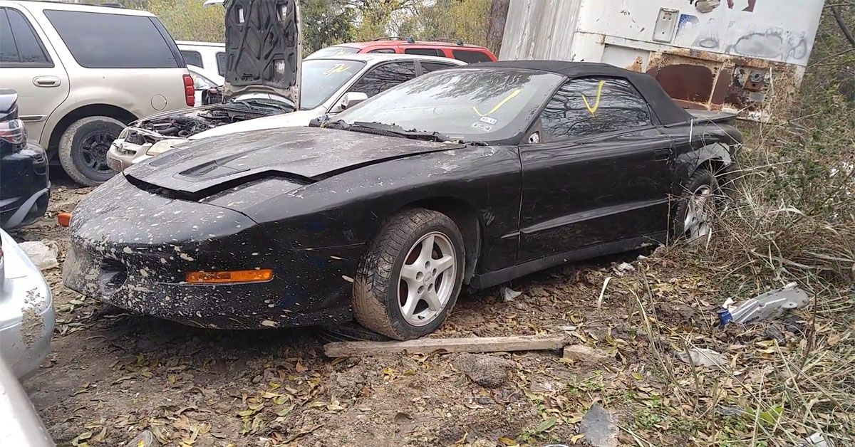 These Cheap Muscle Cars Make The Perfect Projects