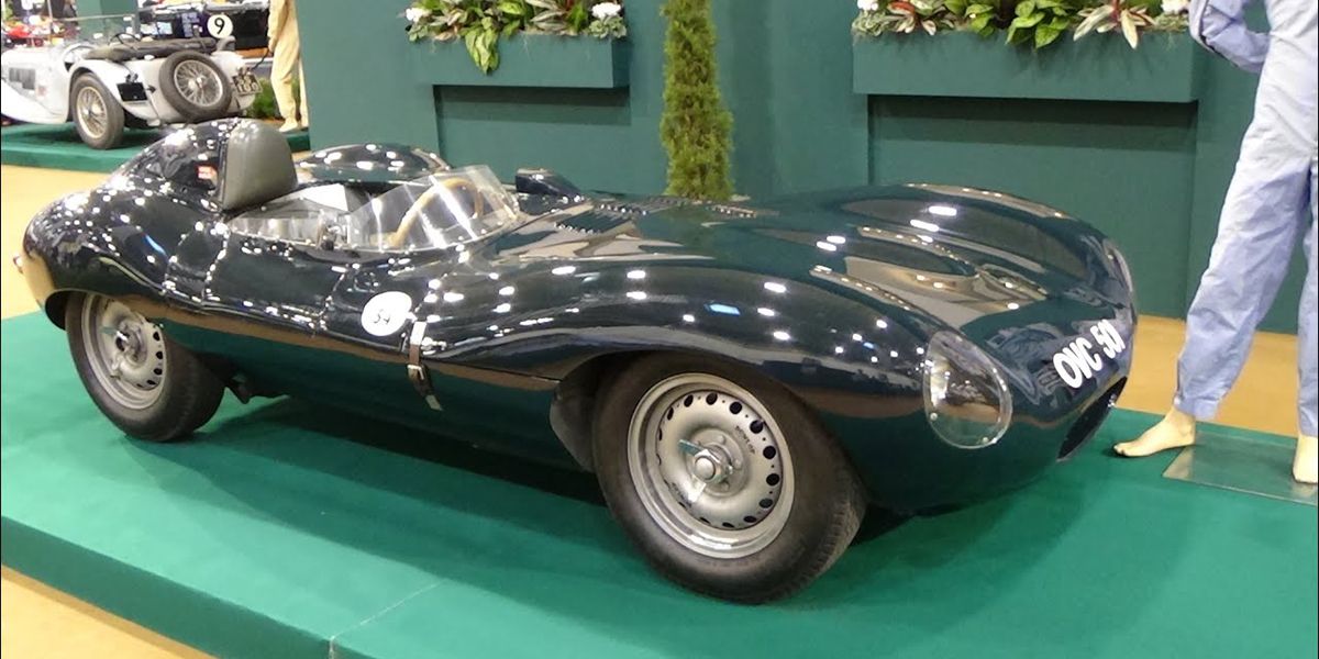 Jaguar D-Type Shortnose