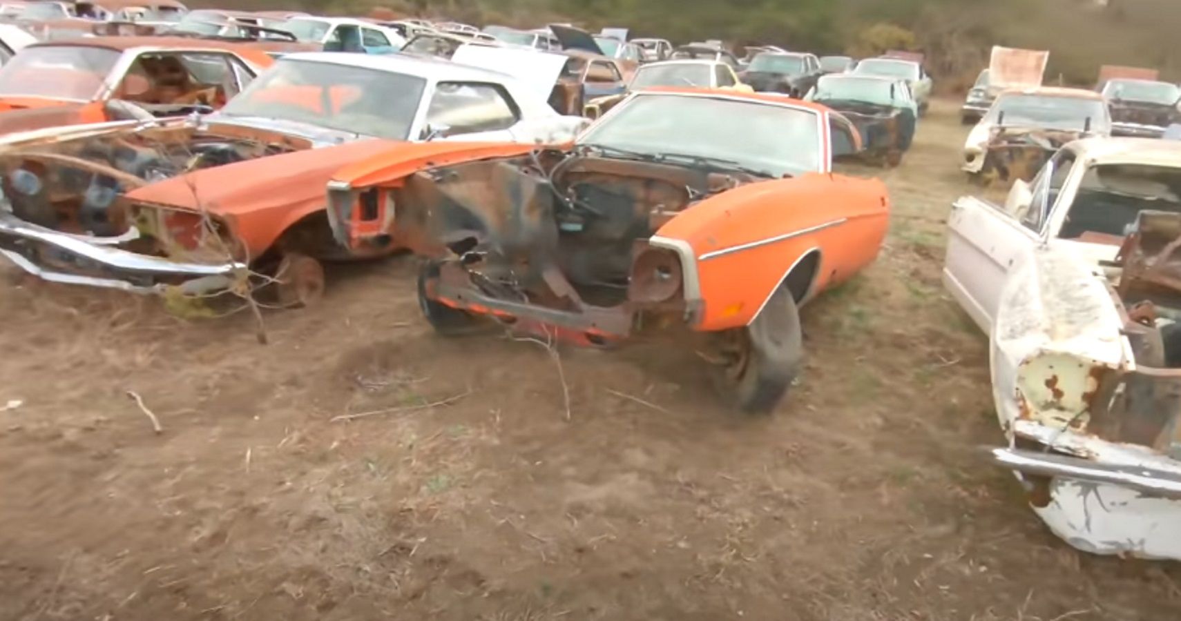 YouTuber Reveals An Outdoor “Museum” Of Classic Fords And Other Vintage