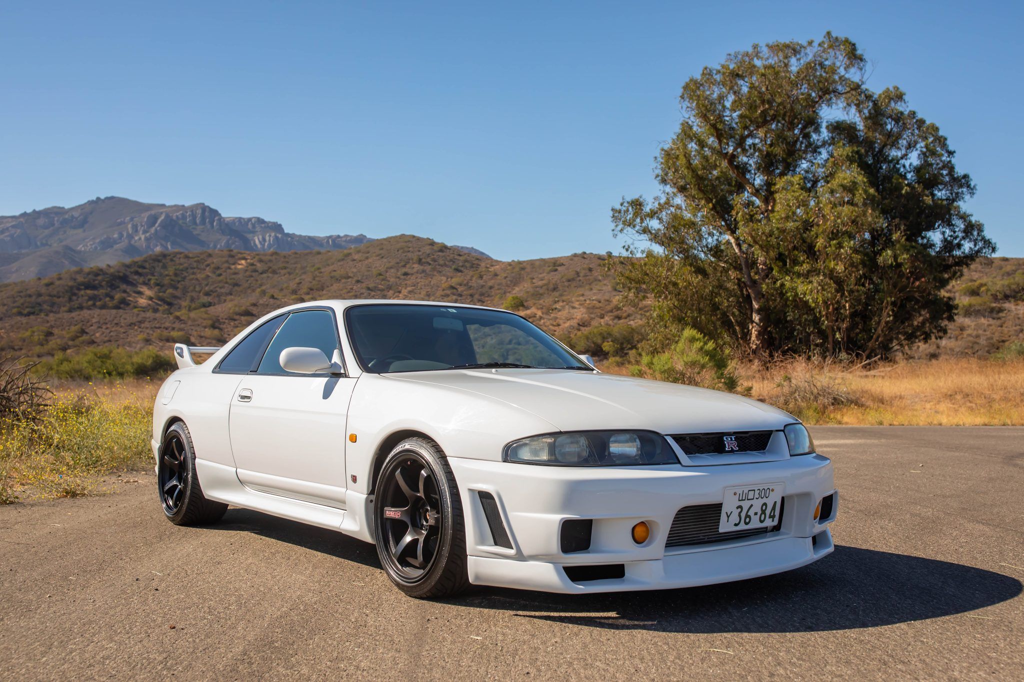 This Stunning 1995 Nissan Skyline GT-R V-Spec Is Going Under