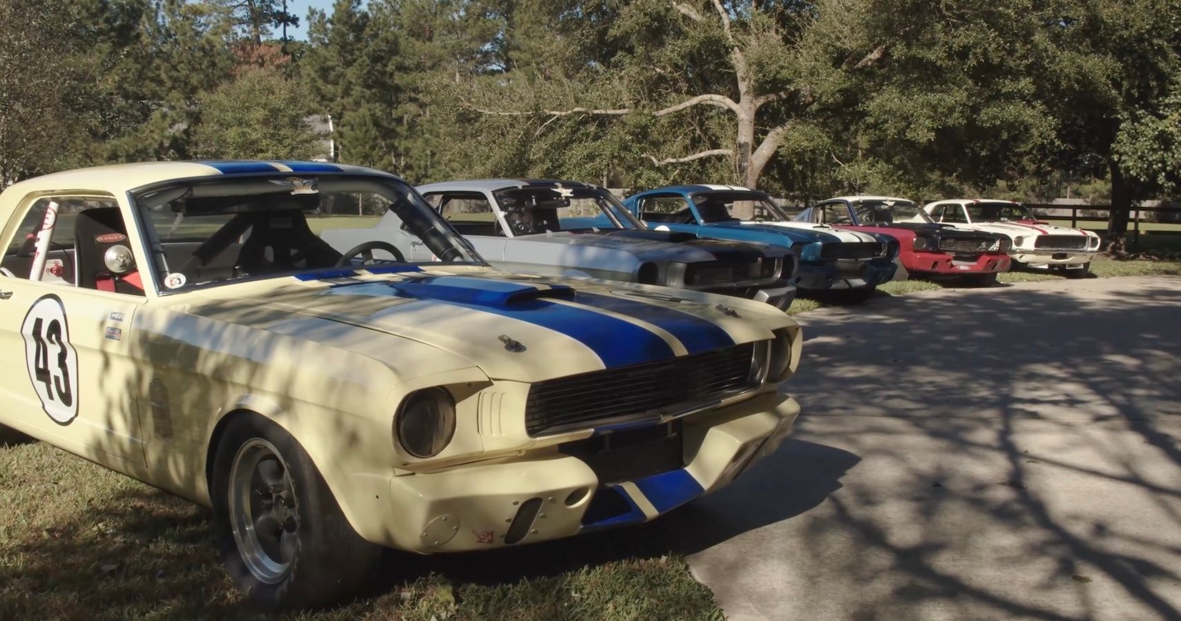 Ford Mustang Collection