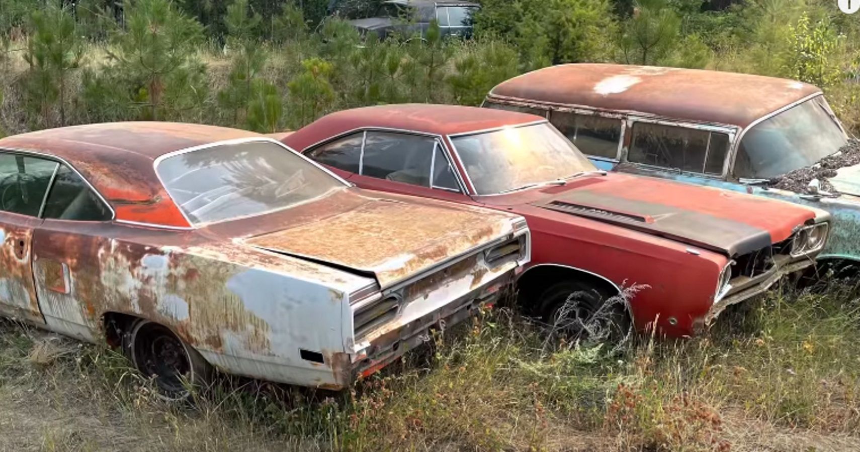 YouTuber Reveals “Muscle Car Field Of Sadness” With A Plymouth Road Runner, Chevy Impala, And More