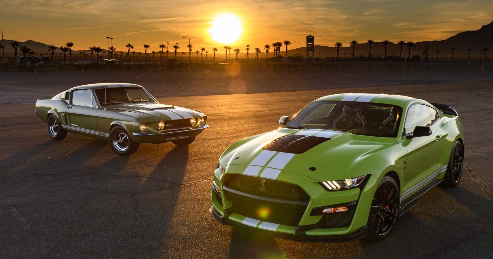 Ford Mustang Shelby GT500 and forefather photoshoot