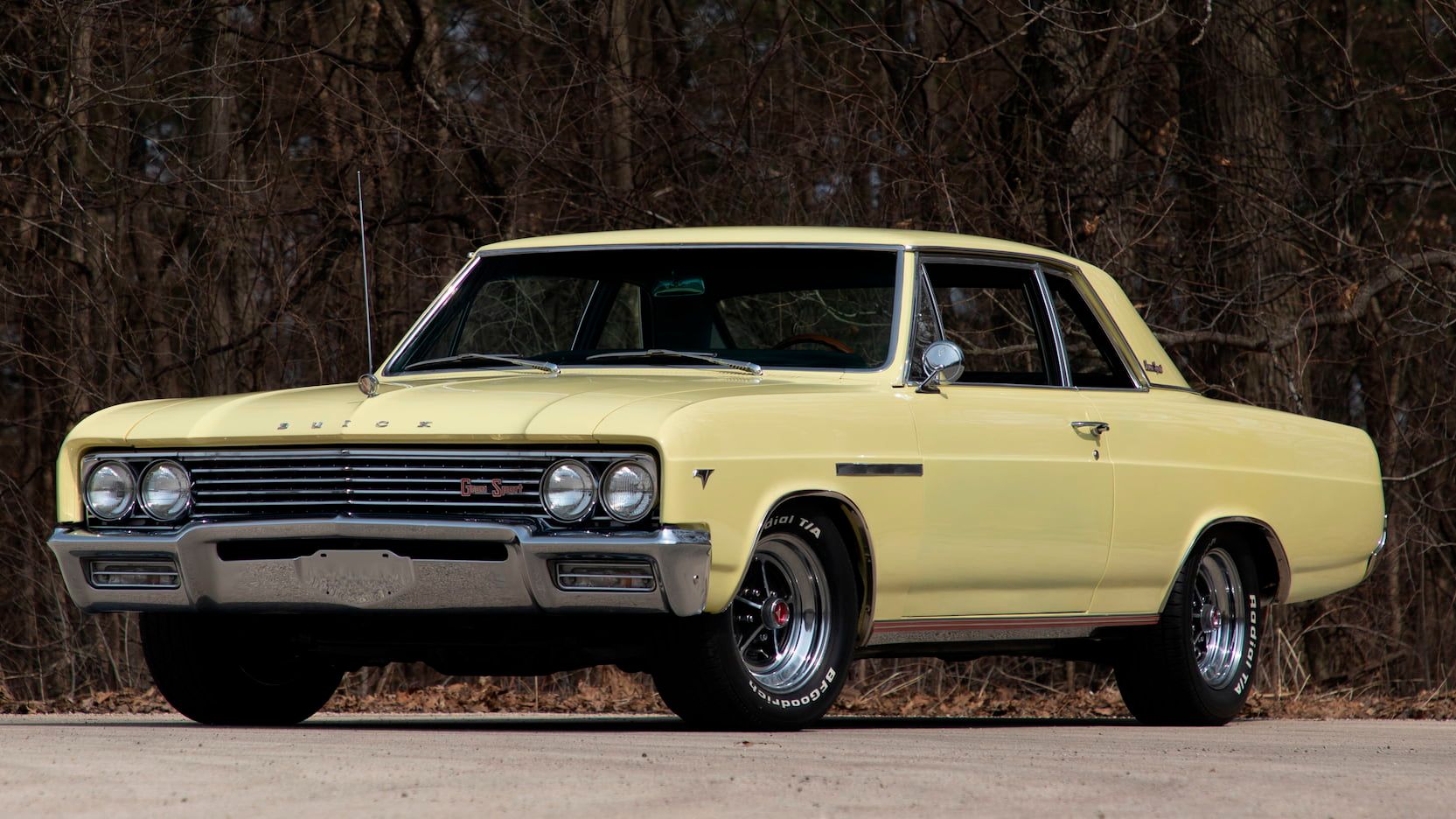1965 Buick Skylark: The muscle car that had style.