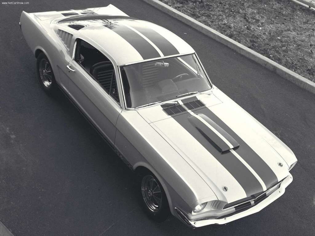 1965 Shelby Mustang GT350's Top View