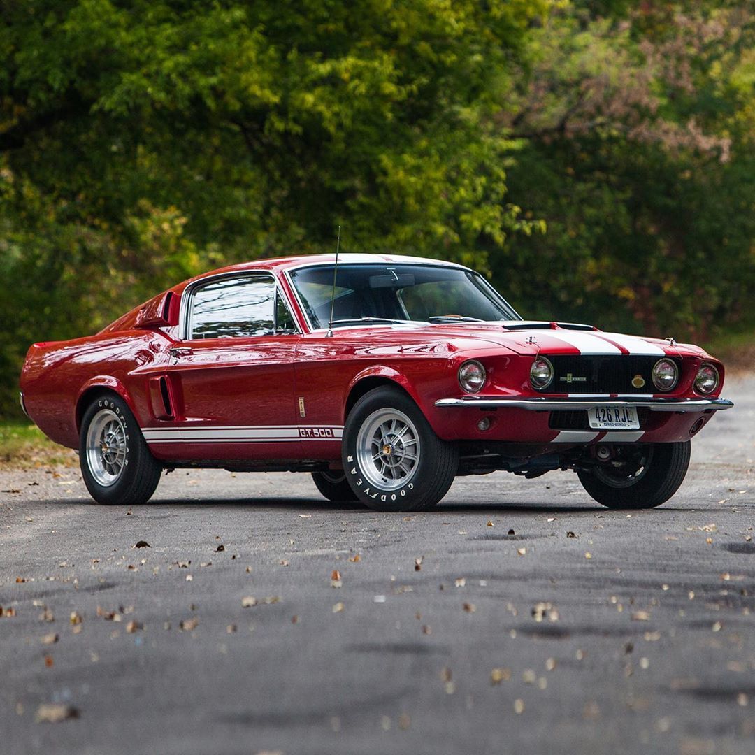 1967 Ford Mustang Shelby GT500: The muscle car for all ages.