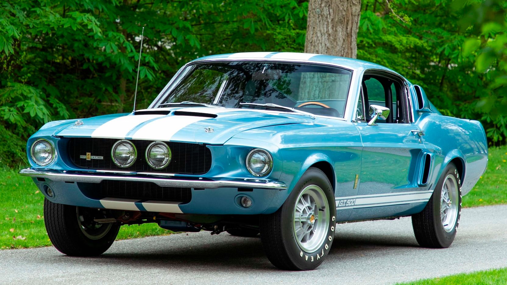 1967 Ford Shelby GT500: The muscle car that is an icon.