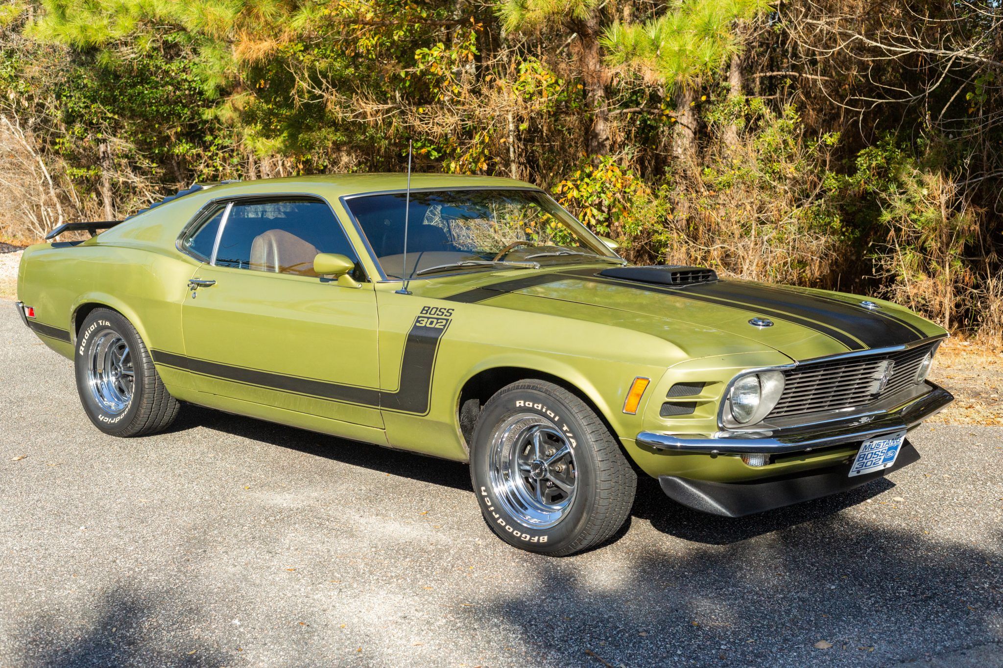 Light green 1965-1973 Ford Mustang (First Generation)