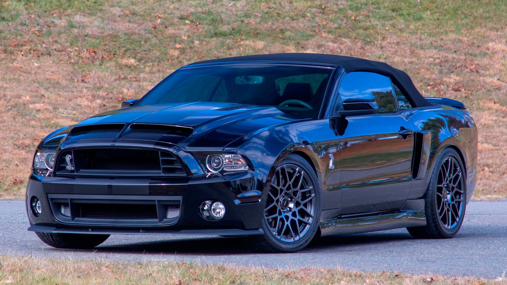 2014 Ford Mustang Shelby GT500: The muscle car for all ages.