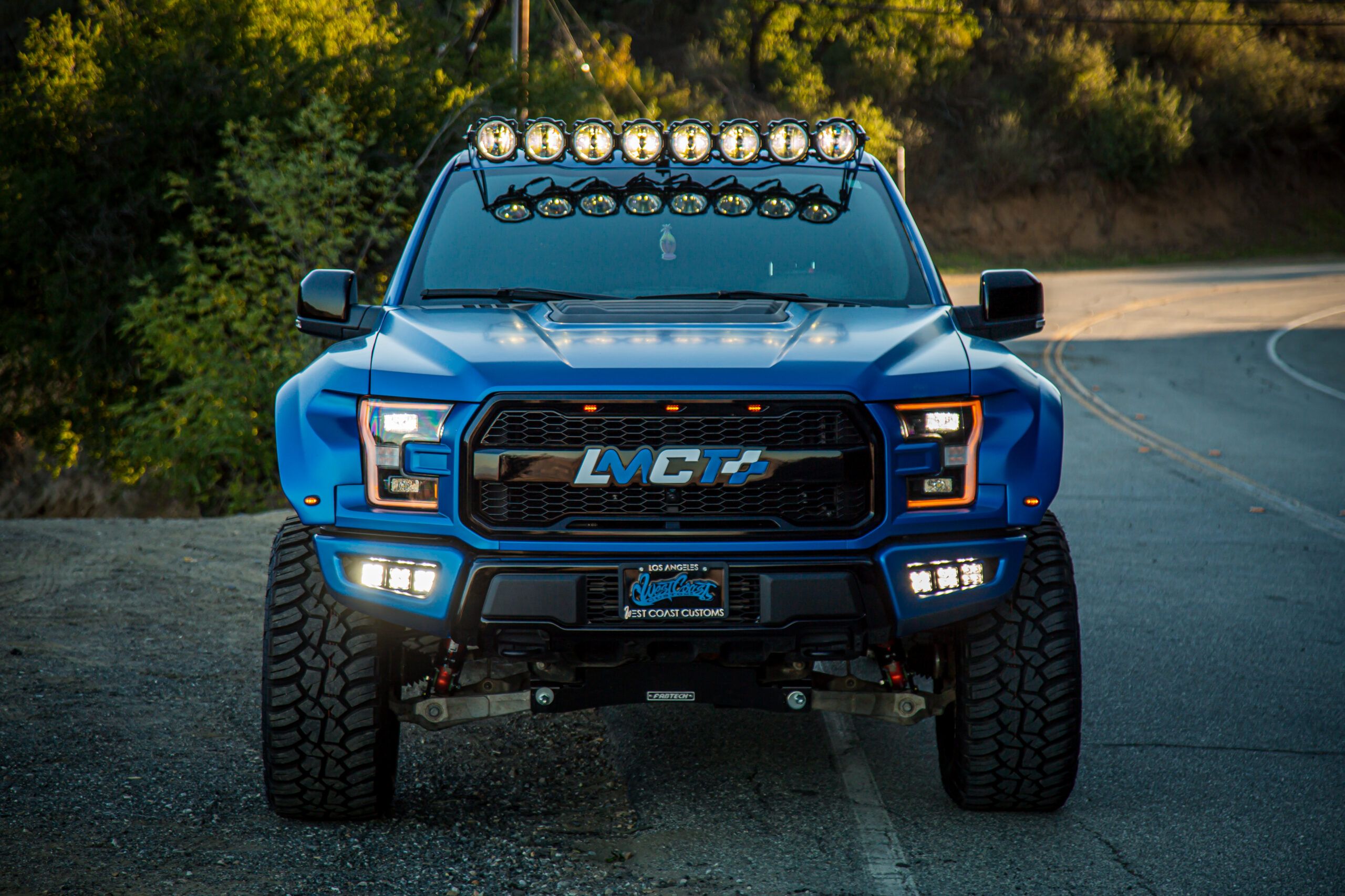 Raptor from the front
