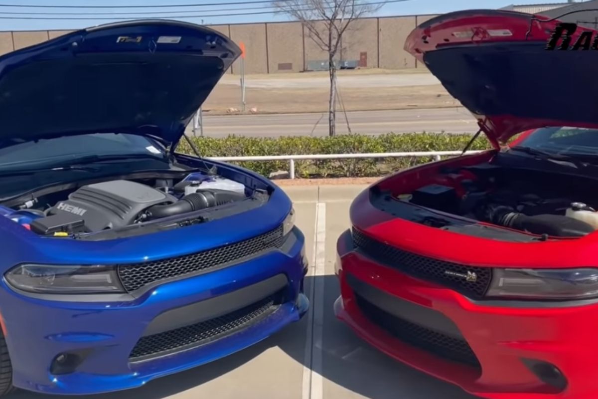 Dodge Charger R/T and Scat Pack Comparison 