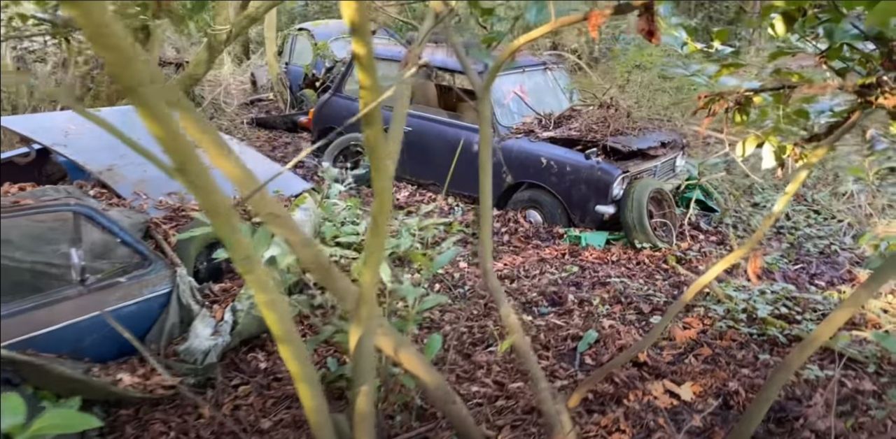 YouTuber Explores Collection Of Rare Abandoned French Cars
