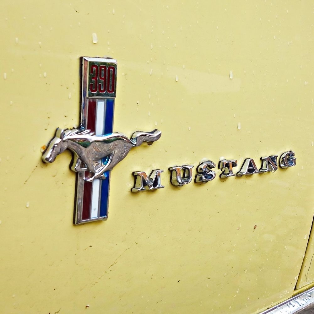 Classic Mustang logo yellow background