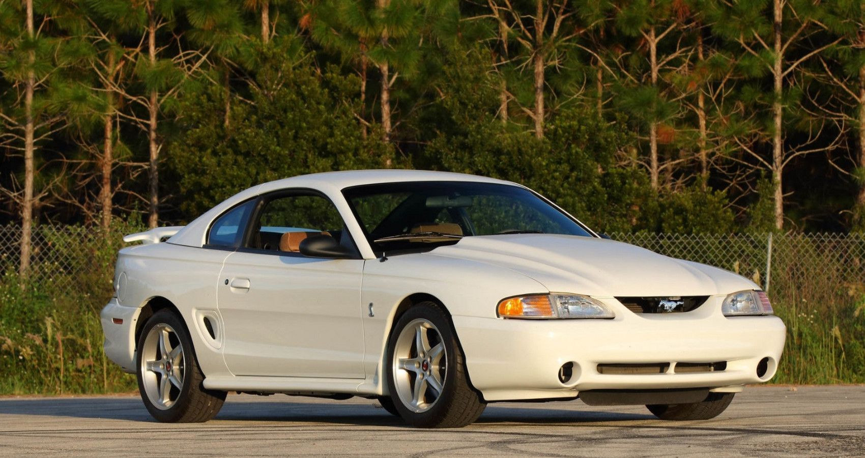 Mustang SVT Corba R - Front